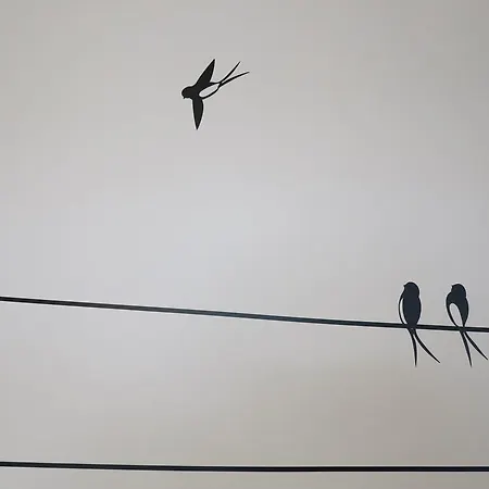 Bed & Breakfast La Ferme De Maraval Cénac-et-Saint-Julien