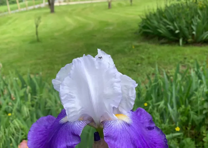 La Ferme De Maraval Bed & Breakfast Cénac-et-Saint-Julien
