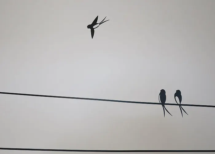 Bed & Breakfast La Ferme De Maraval Cénac-et-Saint-Julien